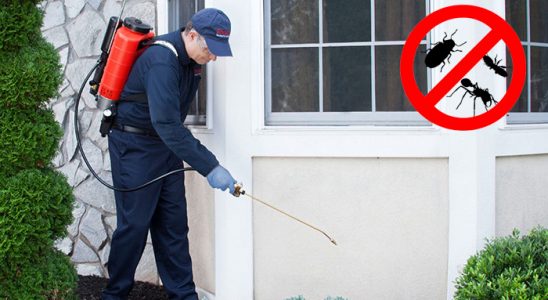 Bahçe Böcek İlaçlama böcek ilaçlama ve haşere kontrolü — ilaclama-tr.com